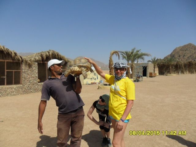 92544_pjazmapqubo2-qoui7oskpf9vw.jpg